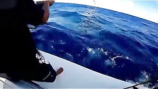 Rodrigues big game: выход за бониты, марлинные надежды и крепкие узлы