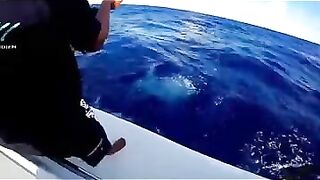 Rodrigues big game: выход за бониты, марлинные надежды и крепкие узлы