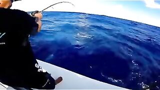 Rodrigues big game: выход за бониты, марлинные надежды и крепкие узлы