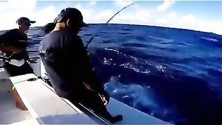 Rodrigues big game: выход за бониты, марлинные надежды и крепкие узлы