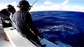 Rodrigues big game: выход за бониты, марлинные надежды и крепкие узлы