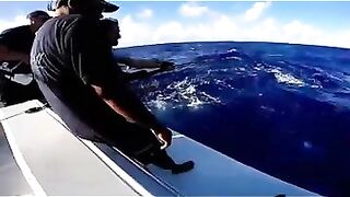 Rodrigues big game: выход за бониты, марлинные надежды и крепкие узлы