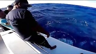 Rodrigues big game: выход за бониты, марлинные надежды и крепкие узлы