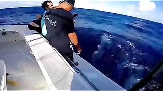 Rodrigues big game: выход за бониты, марлинные надежды и крепкие узлы