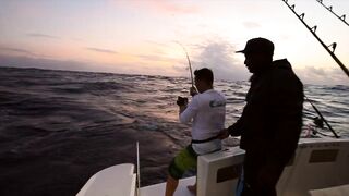 Rodrigues — West Hawkins Bank 4K: лодки, банки и клев у свалов