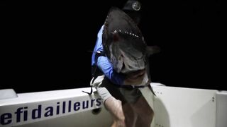 Rodrigues — West Hawkins Bank 4K: лодки, банки и клев у свалов