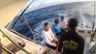 Rodrigues — West Hawkins Bank 4K: лодки, банки и клев у свалов