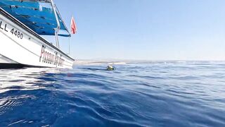 Jubilee Shoals, Cyprus - дайв у Писсури и драматичные свалы известняка