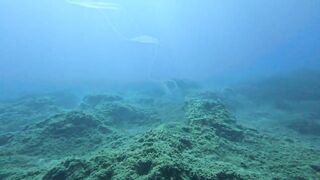 Jubilee Shoals, Cyprus - дайв у Писсури и драматичные свалы известняка