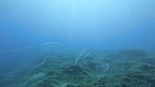 Jubilee Shoals, Cyprus - дайв у Писсури и драматичные свалы известняка