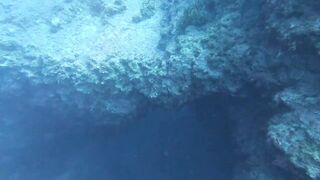 Jubilee Shoals, Cyprus - дайв у Писсури и драматичные свалы известняка