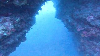 Jubilee Shoals, Cyprus - дайв у Писсури и драматичные свалы известняка