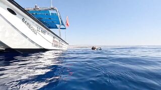 Jubilee Shoals, Cyprus - дайв у Писсури и драматичные свалы известняка