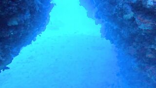 Jubilee Shoals, Cyprus - дайв у Писсури и драматичные свалы известняка