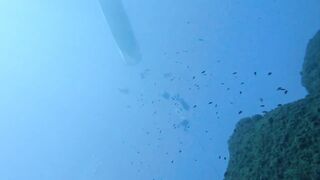 Jubilee Shoals, Cyprus - дайв у Писсури и драматичные свалы известняка