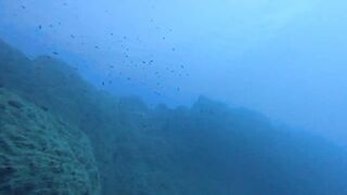 Jubilee Shoals, Cyprus - дайв у Писсури и драматичные свалы известняка