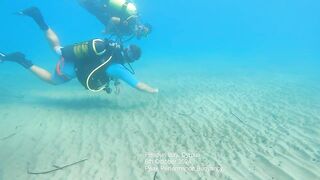 Писсури Бэй на Кипре: лайтовое море, склоны и длинная дуга бухты