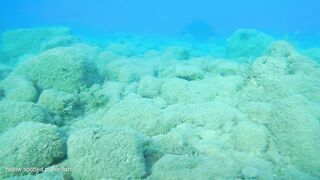 Писсури Бэй на Кипре: лайтовое море, склоны и длинная дуга бухты