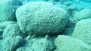 Писсури Бэй на Кипре: лайтовое море, склоны и длинная дуга бухты