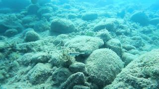 Писсури Бэй на Кипре: лайтовое море, склоны и длинная дуга бухты