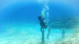 Pissouri Bay Divers — погружения, рифы и встреча с мелкой рыбой