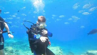 Pissouri Bay Divers — погружения, рифы и встреча с мелкой рыбой