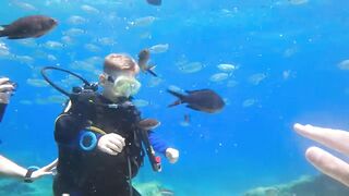 Pissouri Bay Divers — погружения, рифы и встреча с мелкой рыбой