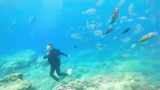 Pissouri Bay Divers — погружения, рифы и встреча с мелкой рыбой