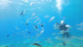 Pissouri Bay Divers — погружения, рифы и встреча с мелкой рыбой