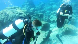 Pissouri Bay Divers — погружения, рифы и встреча с мелкой рыбой