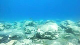 Pissouri Bay Divers — погружения, рифы и встреча с мелкой рыбой