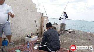 Rabigh KSA — автопоездка и рыбалка у волнореза