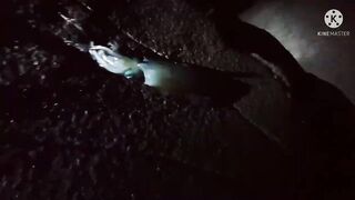 Rabigh KSA — автопоездка и рыбалка у волнореза