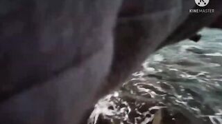 Rabigh KSA — автопоездка и рыбалка у волнореза