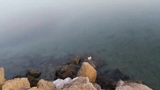 Rabigh Fishing Spot, ультралайт на берегу Красного моря