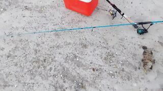 Rabigh Fishing Spot, ультралайт на берегу Красного моря