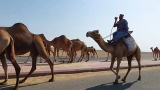 Rabigh Fishing Spot, ультралайт на берегу Красного моря