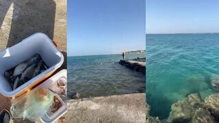 Ещё один выезд в Рабиг – смена приманок и короткое окно клева