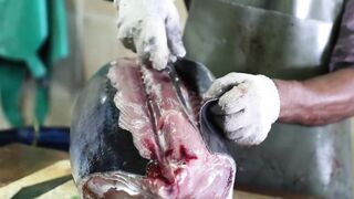 Male Fish Market — внутри рынка: что купить рыболову на Мальдивах