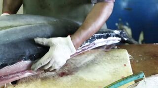 Male Fish Market — внутри рынка: что купить рыболову на Мальдивах