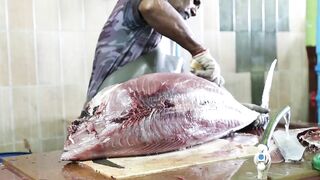 Male Fish Market — внутри рынка: что купить рыболову на Мальдивах