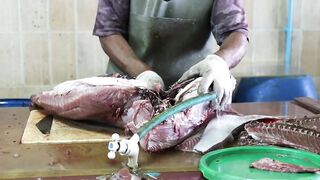 Male Fish Market — внутри рынка: что купить рыболову на Мальдивах