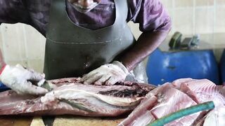 Male Fish Market — внутри рынка: что купить рыболову на Мальдивах