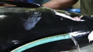 Male Fish Market — внутри рынка: что купить рыболову на Мальдивах