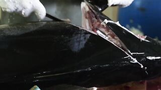 Male Fish Market — внутри рынка: что купить рыболову на Мальдивах