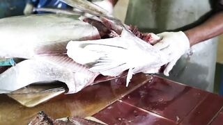 Male Fish Market — внутри рынка: что купить рыболову на Мальдивах