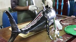 Male Fish Market — внутри рынка: что купить рыболову на Мальдивах