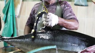 Male Fish Market — внутри рынка: что купить рыболову на Мальдивах