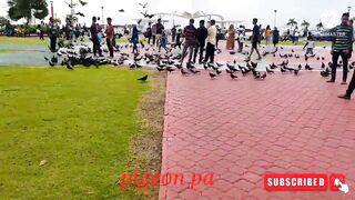 Male City fishing zone — где ловят местные в столице Мальдив?