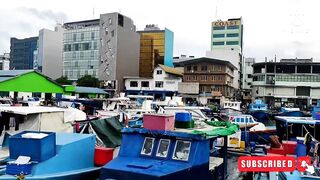 Male City fishing zone — где ловят местные в столице Мальдив?